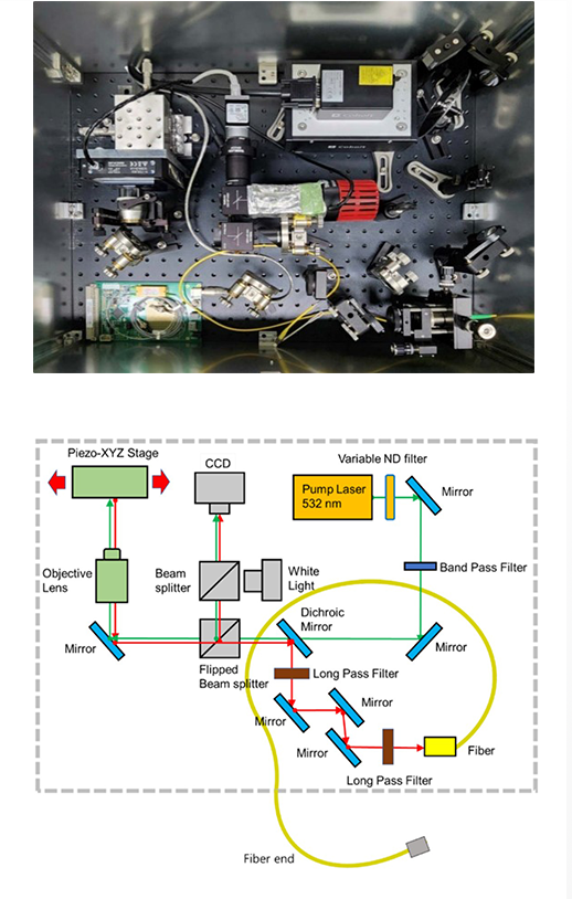 Single Photon Metrology